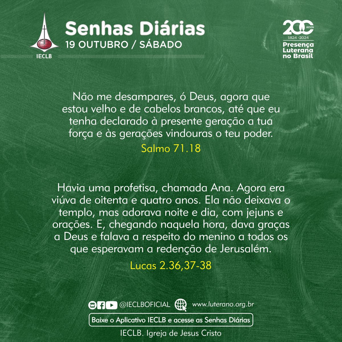 Senhas Diárias - 19 10 2024