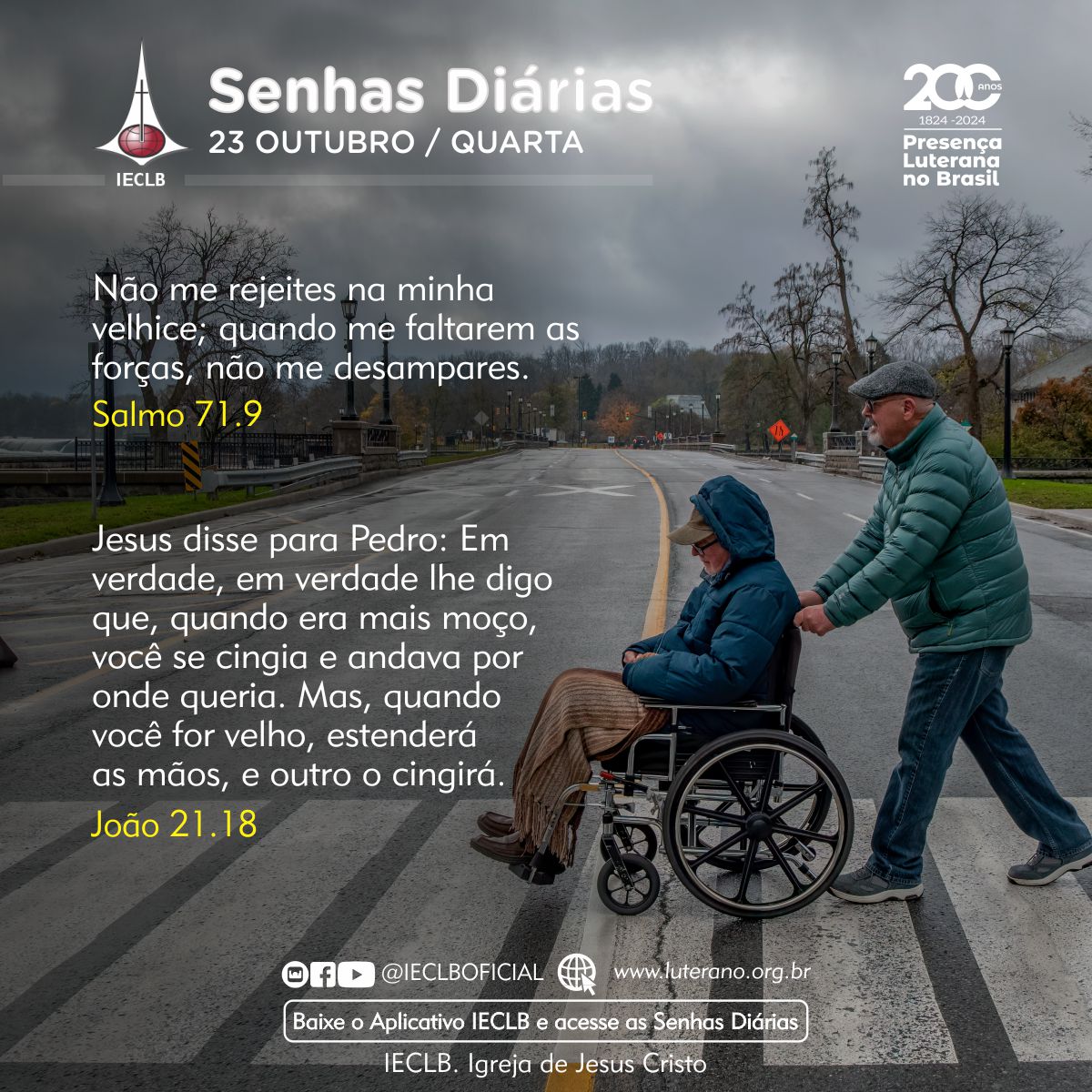 Senhas Diárias - 23 10 2024