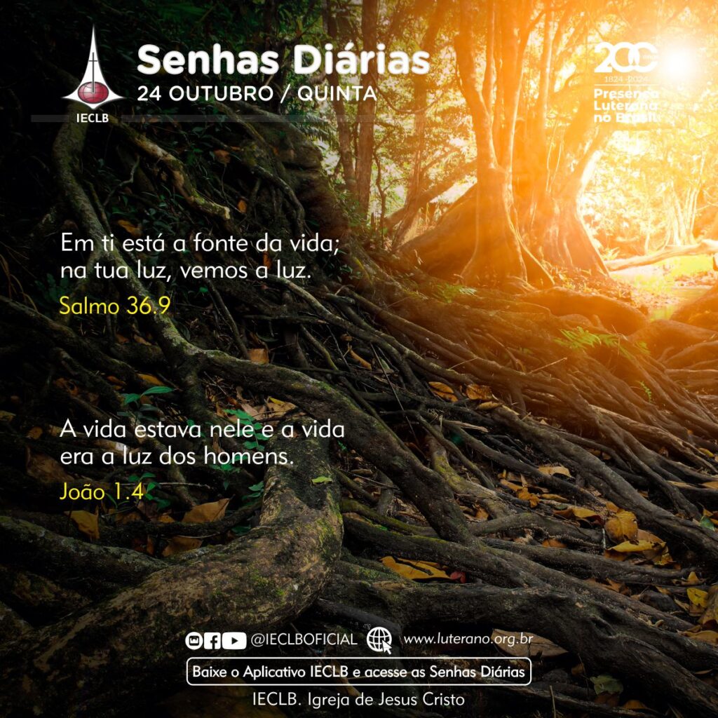 Senhas Diárias - 24 10 2024