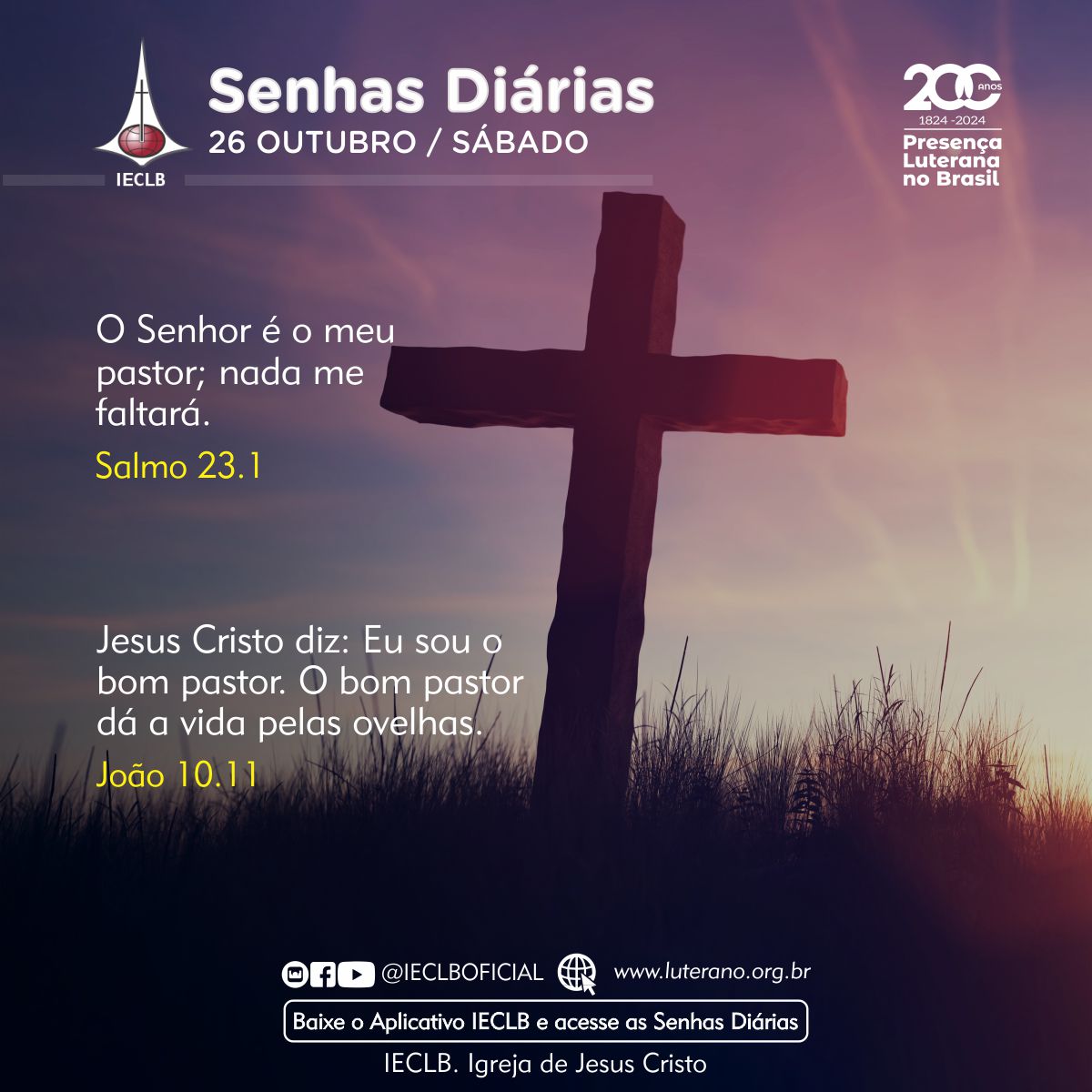 Senhas Diárias - 26 10 2024