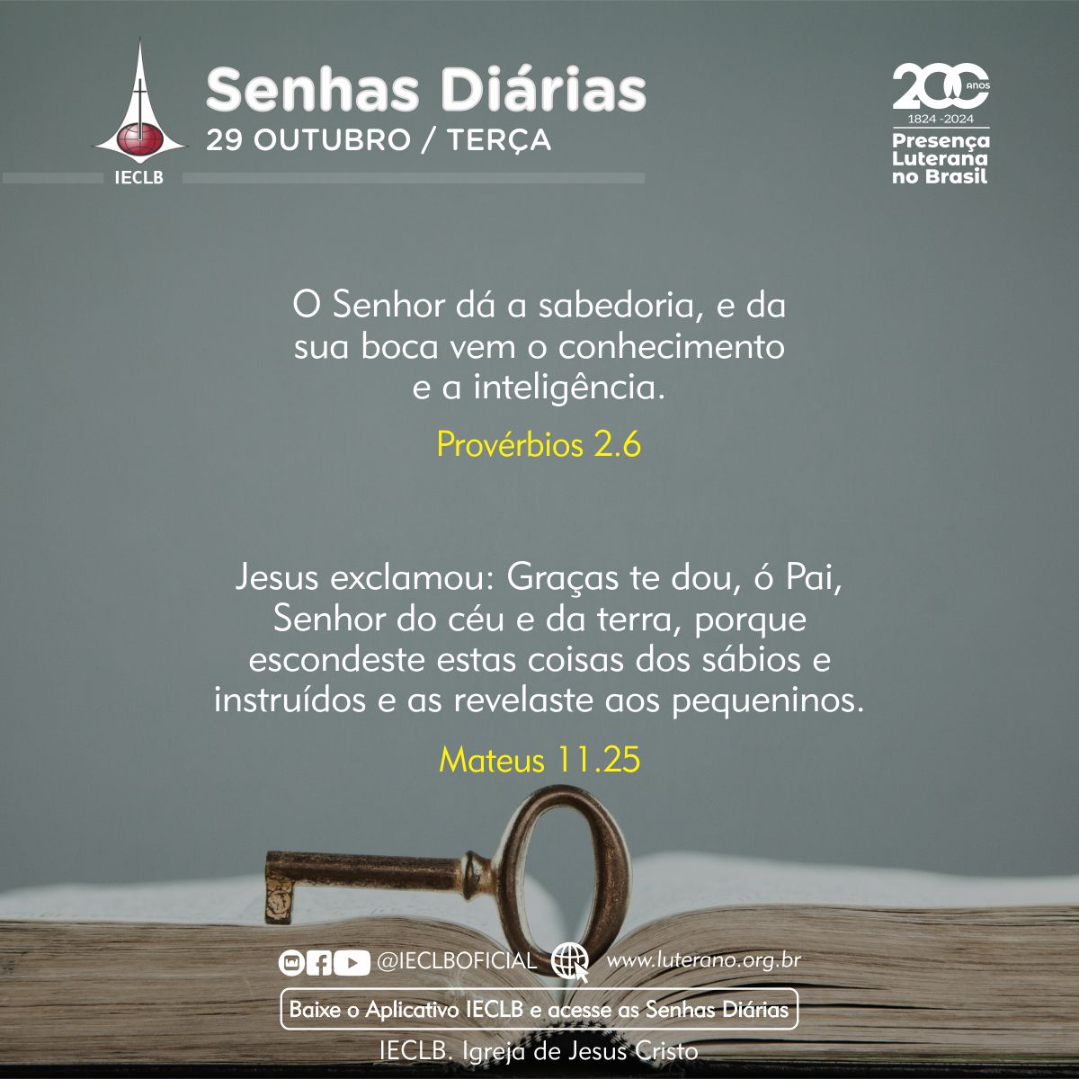 Senhas Diárias - 29 10 2024