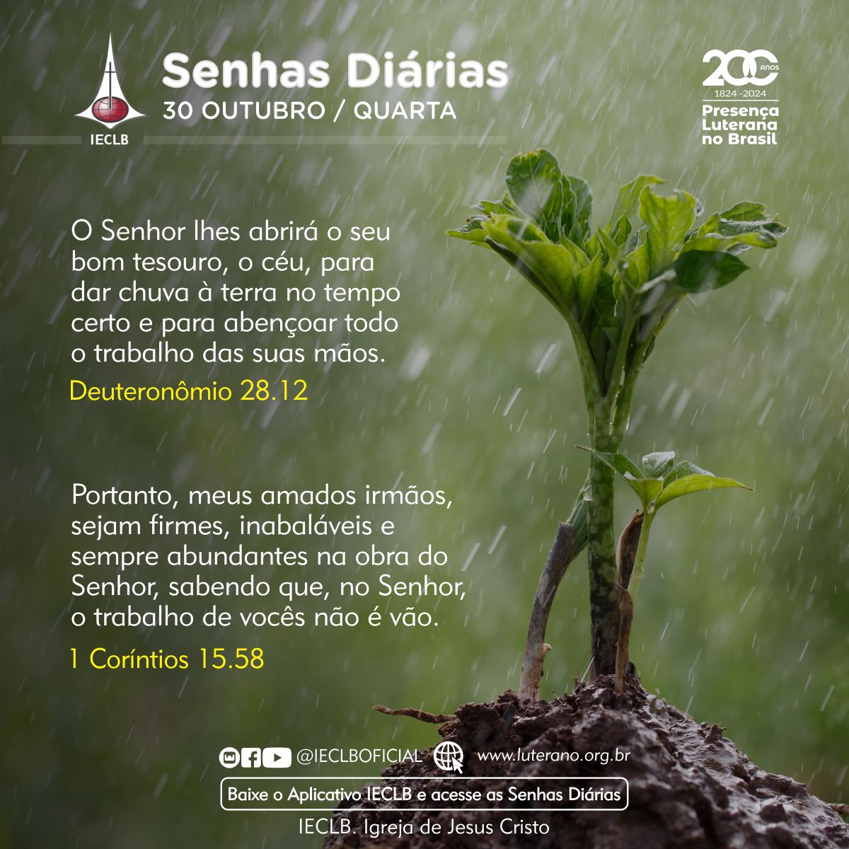 Senhas Diárias - 30 10 2024