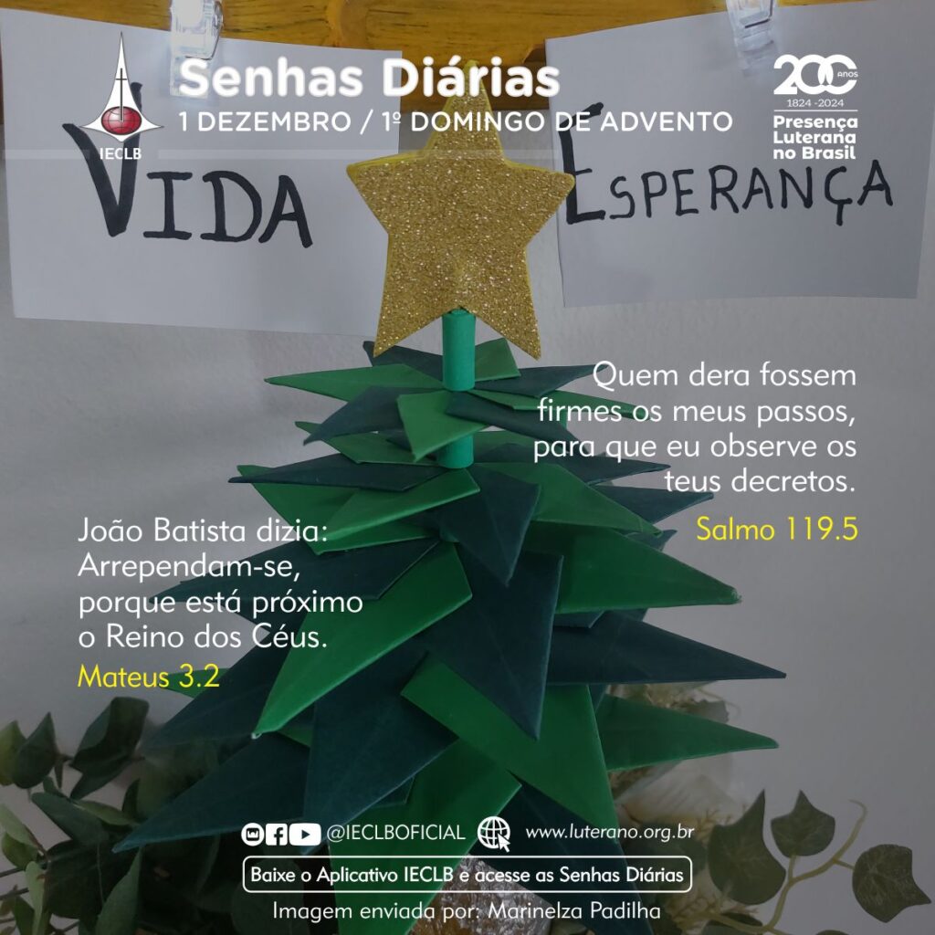 Senhas Diárias - 01 12 2024