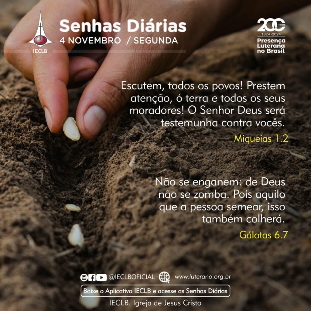 Senhas Diárias - 04 11 2024