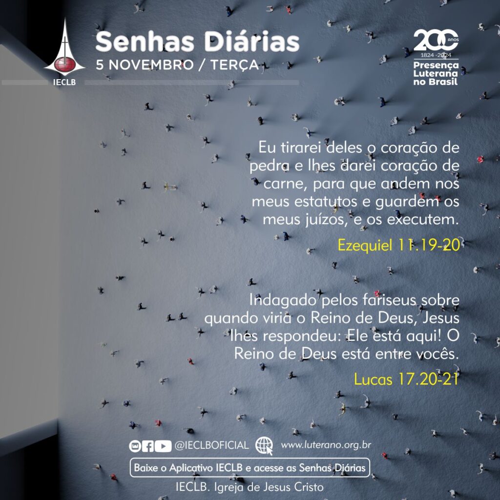 Senhas Diárias - 05 11 2024