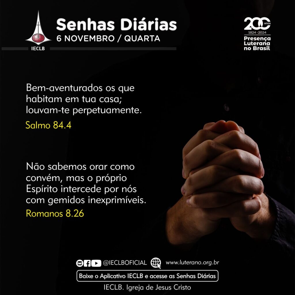 Senhas Diárias - 06 11 2024