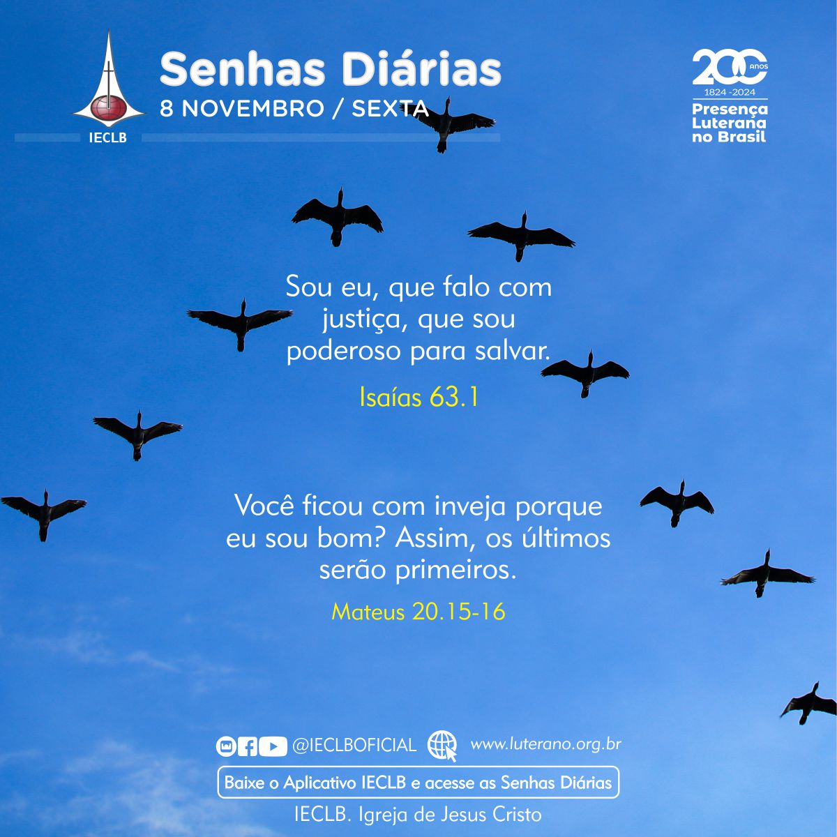 Senhas Diárias - 08 11 2024