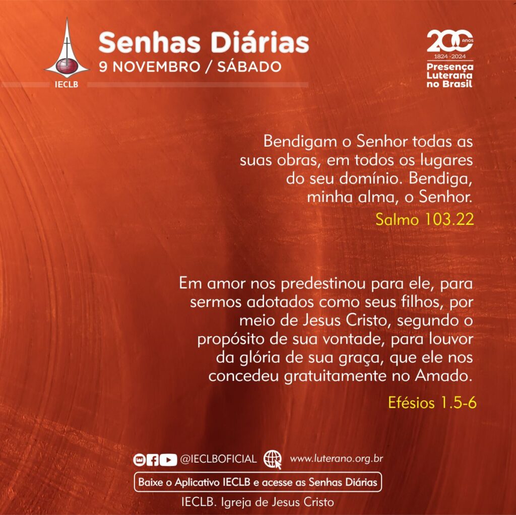 Senhas Diárias - 09 11 2024