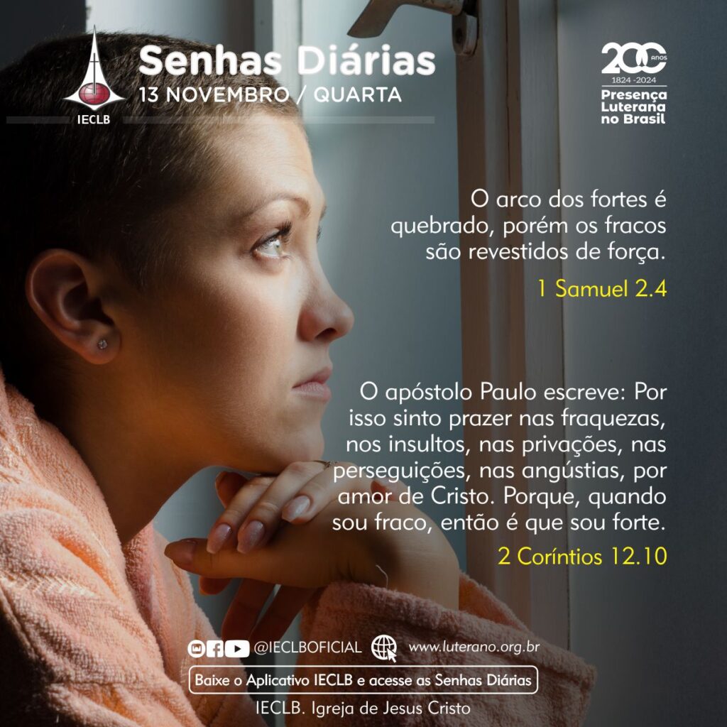 Senhas Diárias - 13 11 2024