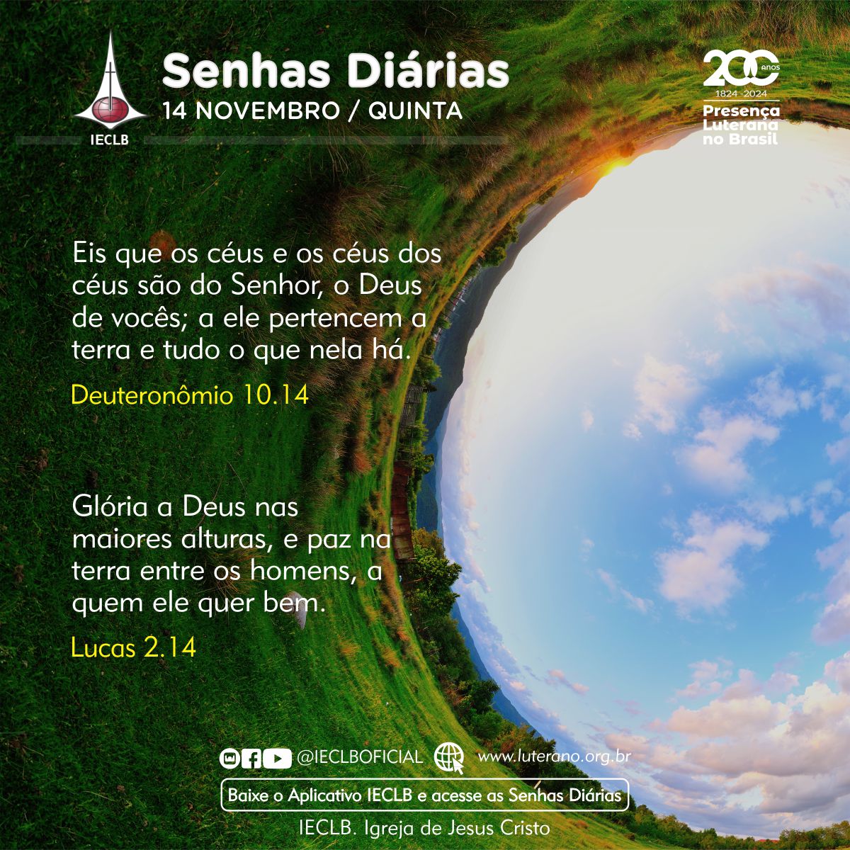 Senhas Diárias - 14 11 2024