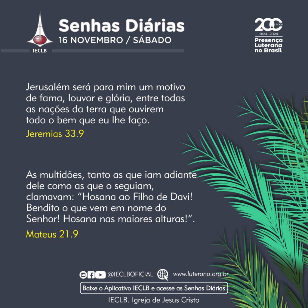 Senhas Diárias - 16 11 2024