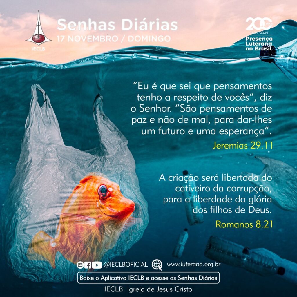 Senhas Diárias - 17 11 2024