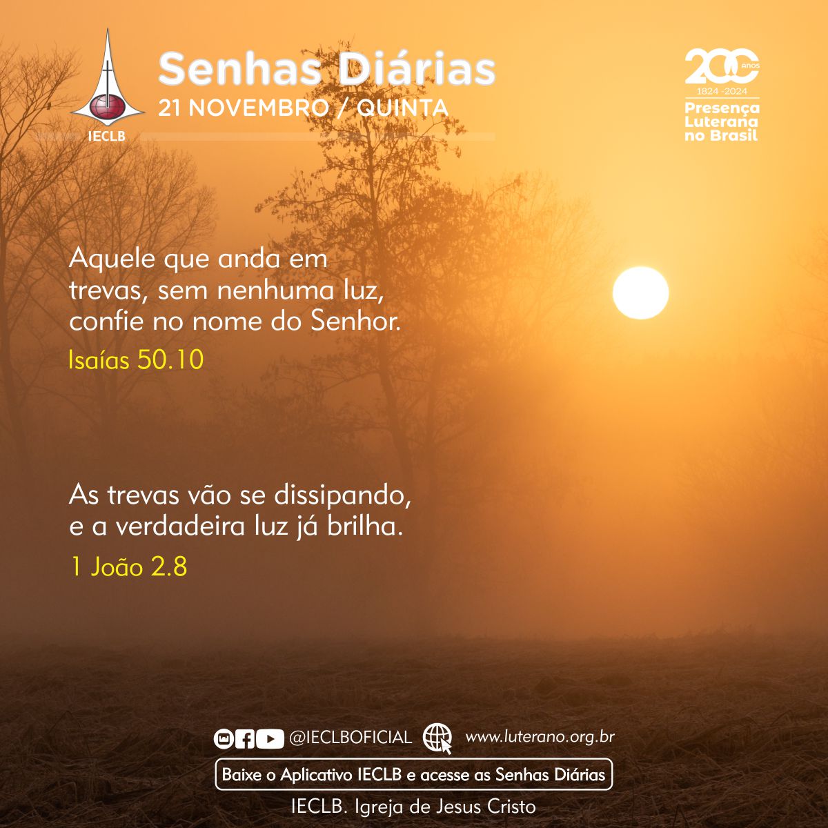 Senhas Diárias - 21 11 2024