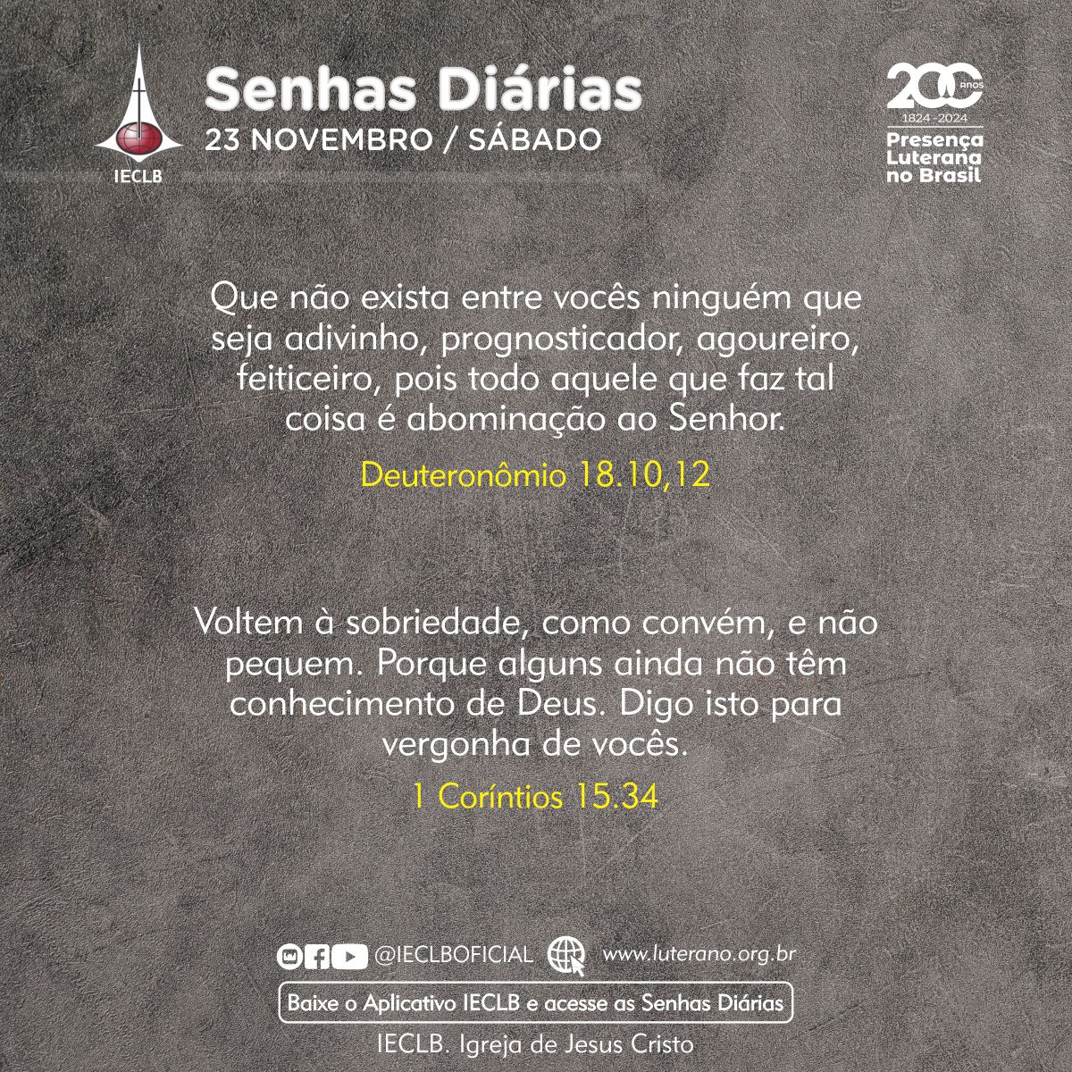 Senhas Diárias - 23 11 2024