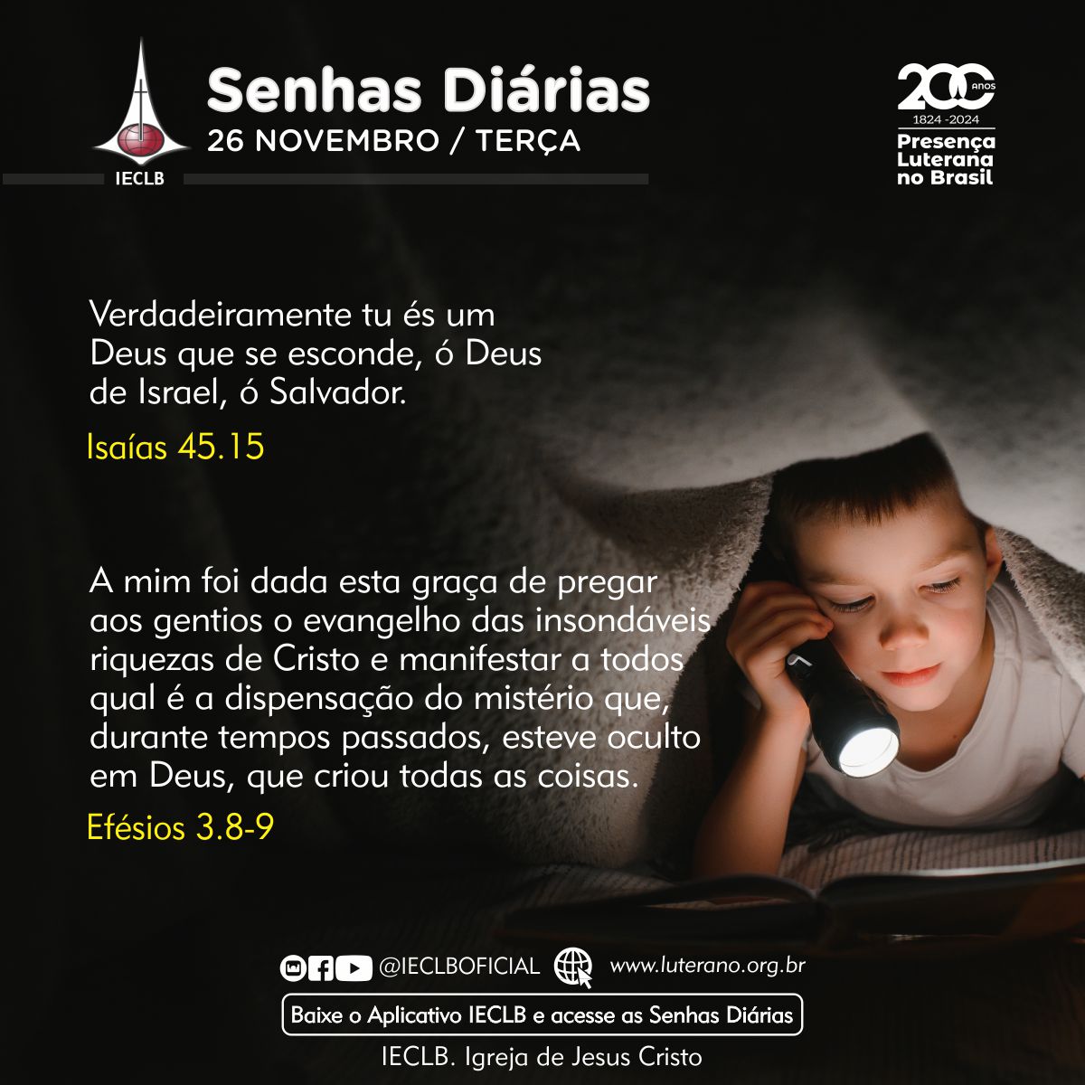 Senhas Diárias - 26 11 2024