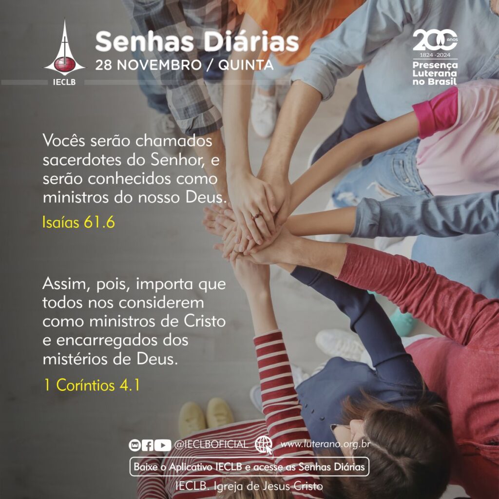 Senhas Diárias - 28 11 2024