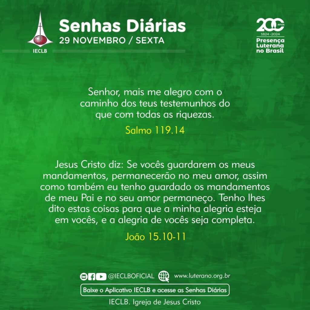 Senhas Diárias - 29 11 2024