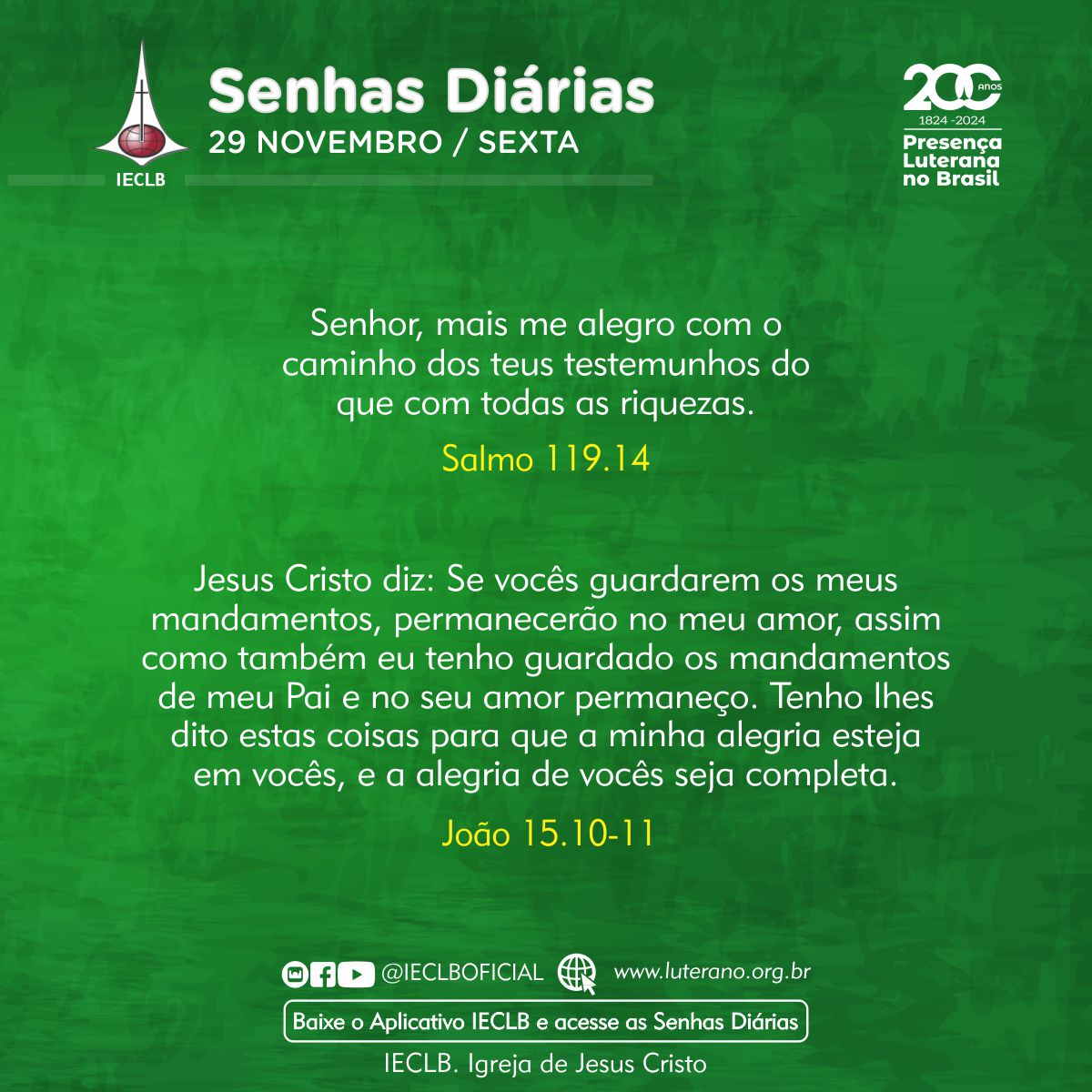 Senhas Diárias - 29 11 2024