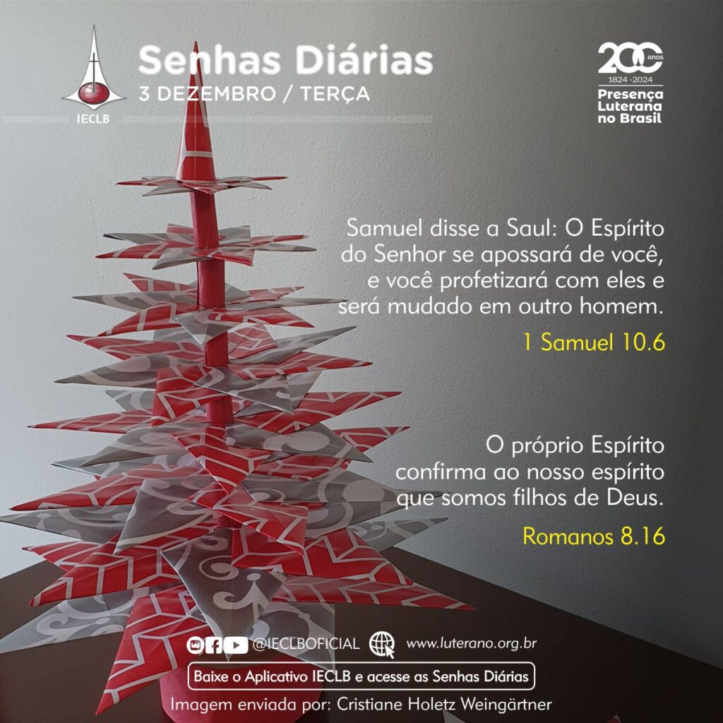 Senhas Diárias - 03 12 2024