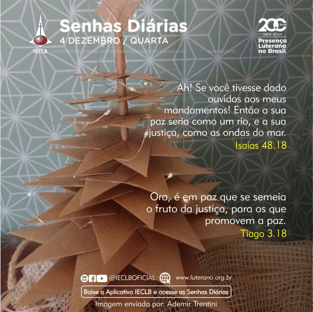 Senhas Diárias - 04 12 2024