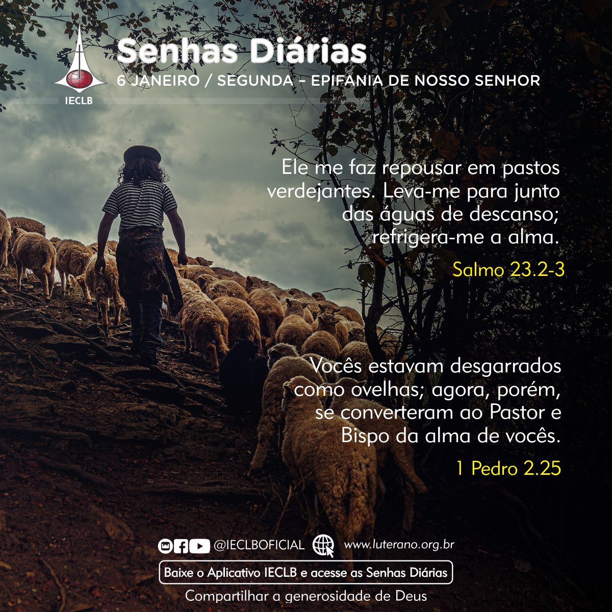 Senhas Diárias - 06 01 2025