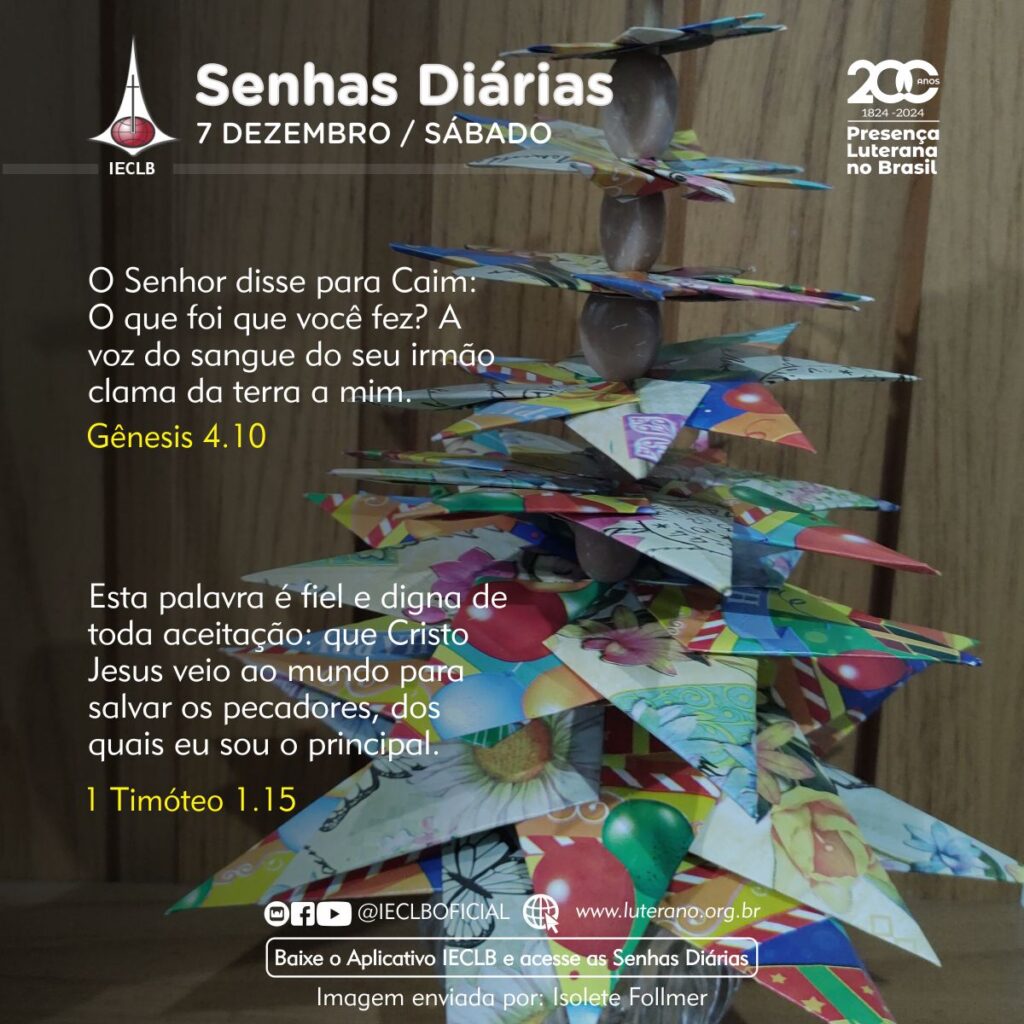 Senhas Diárias - 07 12 2024