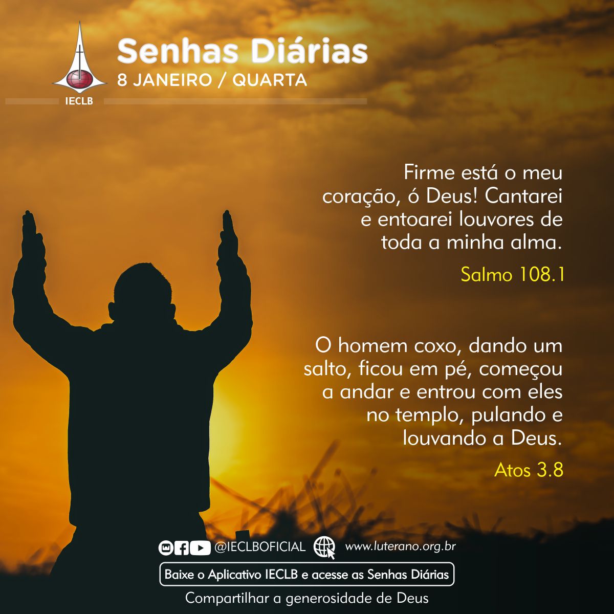 Senhas Diárias - 08 01 2025