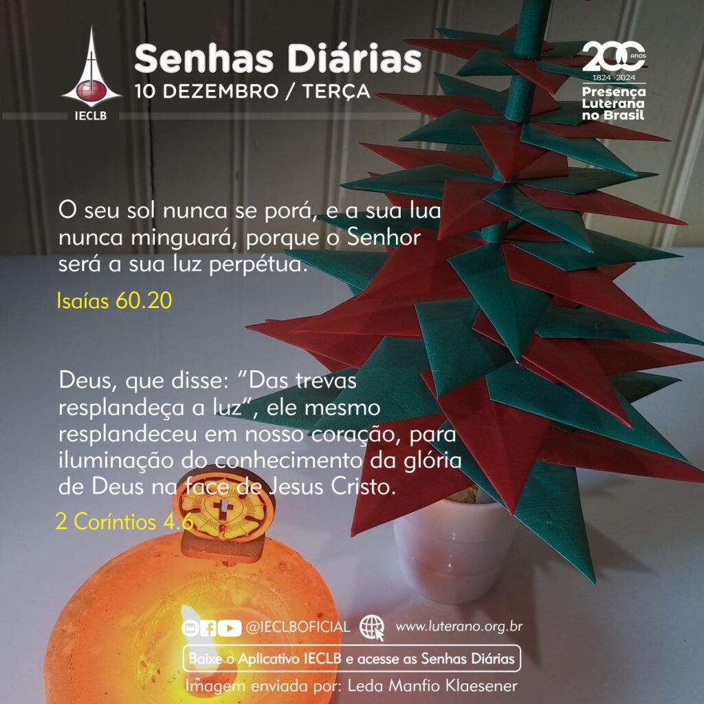 Senhas Diárias - 10 12 2024