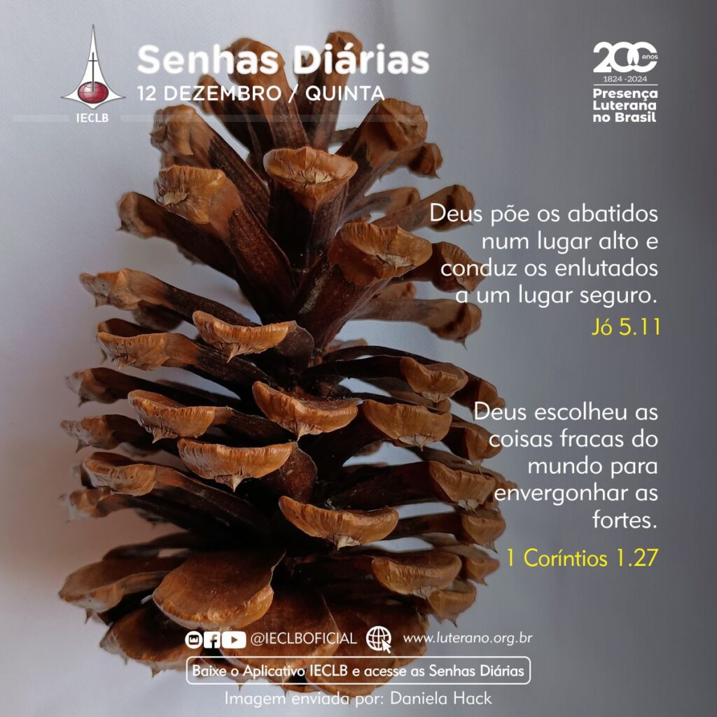 Senhas Diárias - 12 12 2024