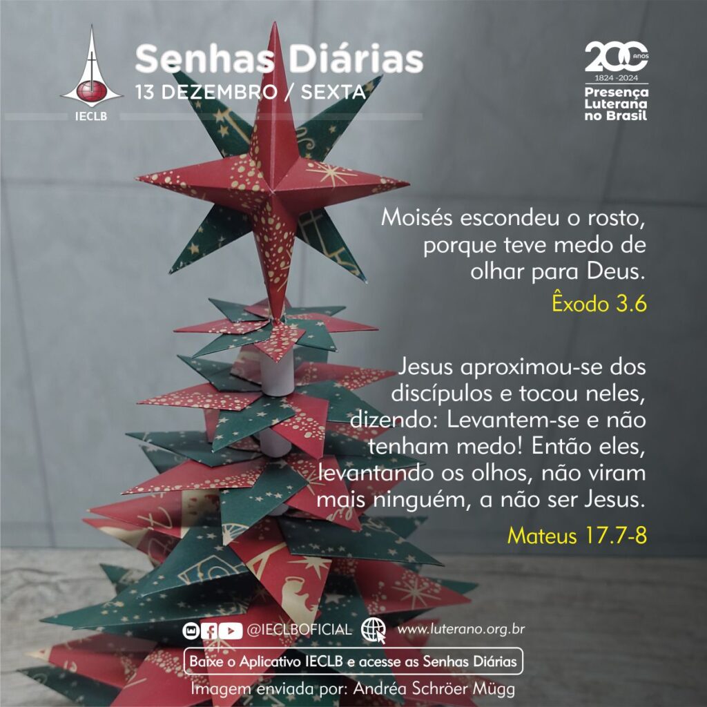 Senhas Diárias - 13 12 2024