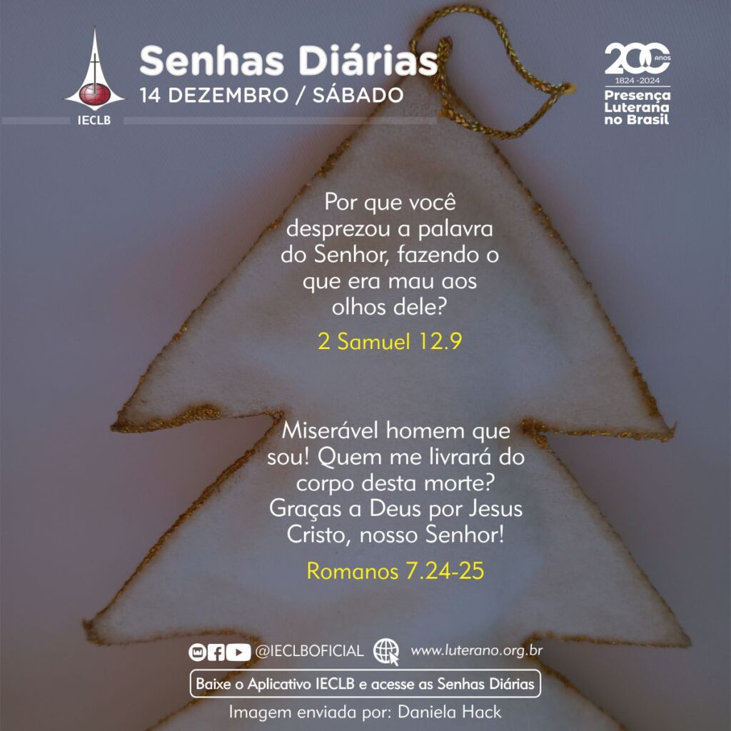 Senhas Diárias - 14 12 2024