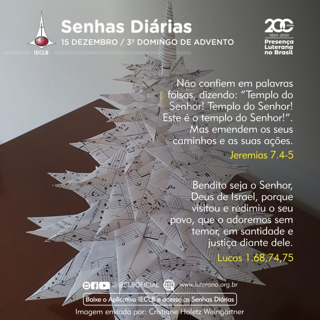 Senhas Diárias - 15 12 2024