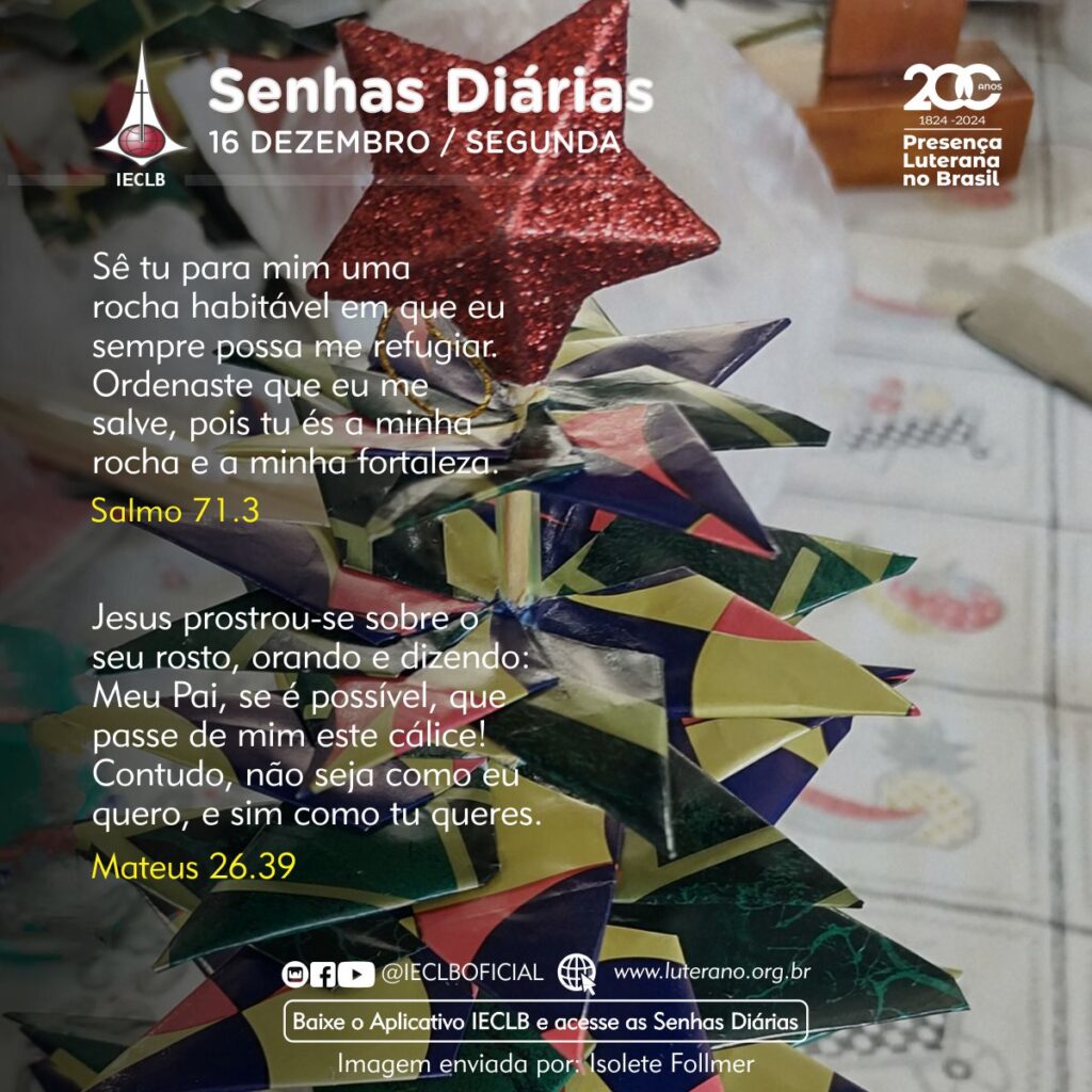 Senhas Diárias - 16 12 2024