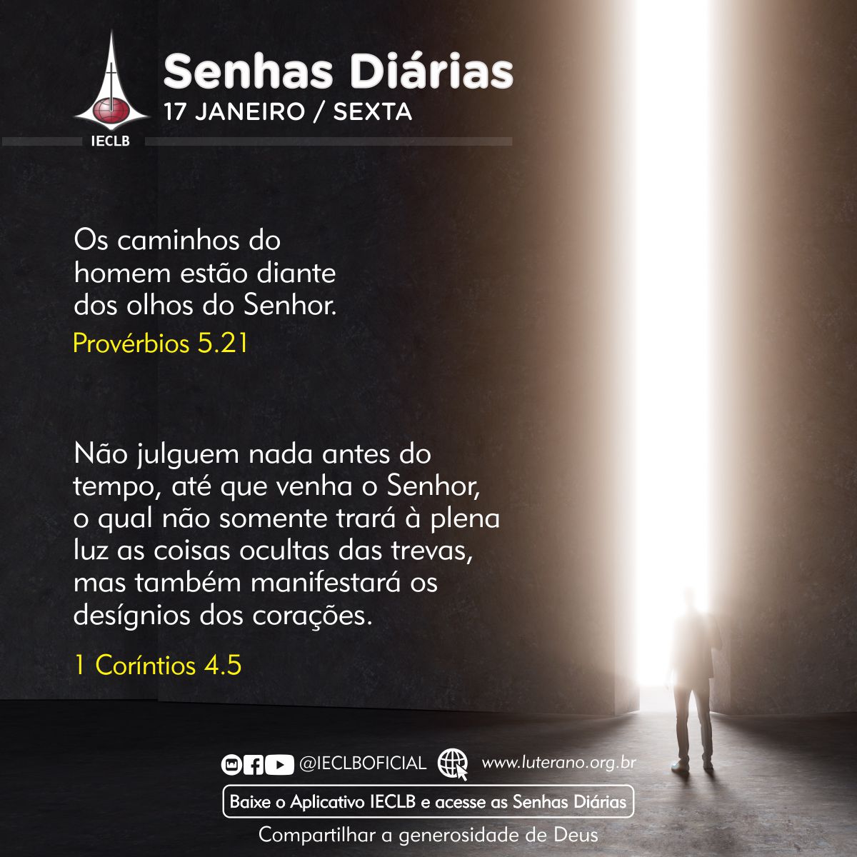 Senhas Diárias - 17 01 2025