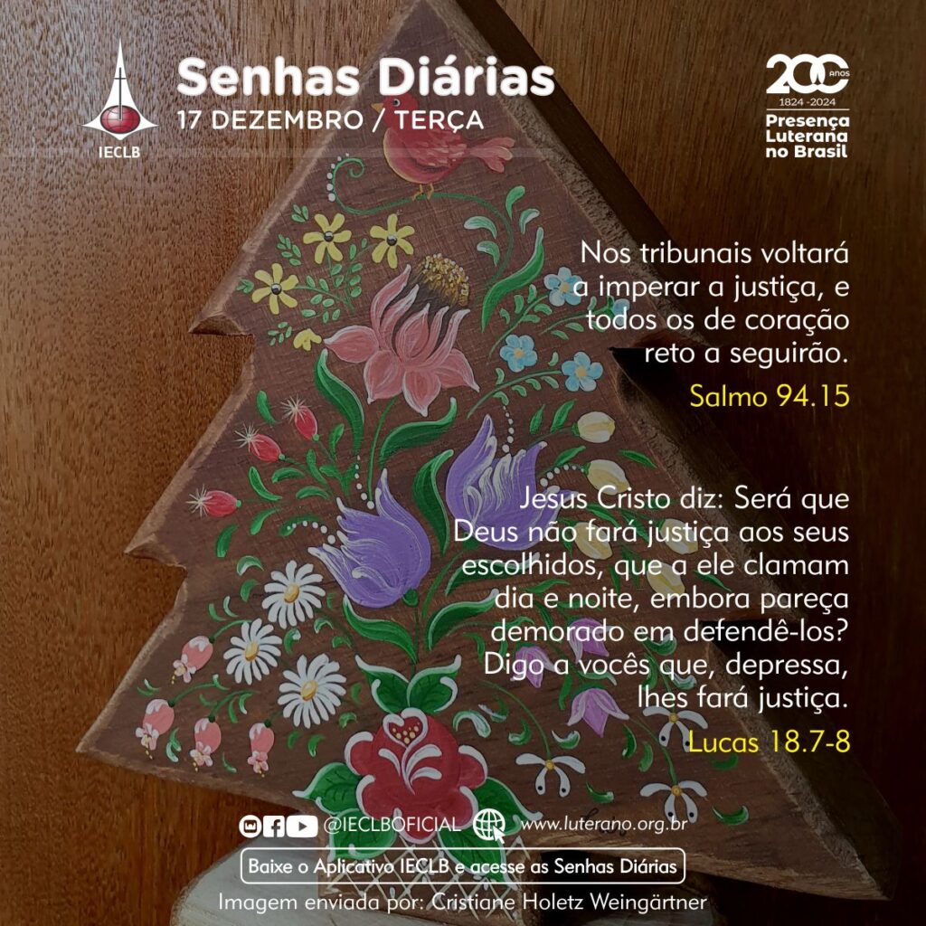 Senhas Diárias - 17 12 2024