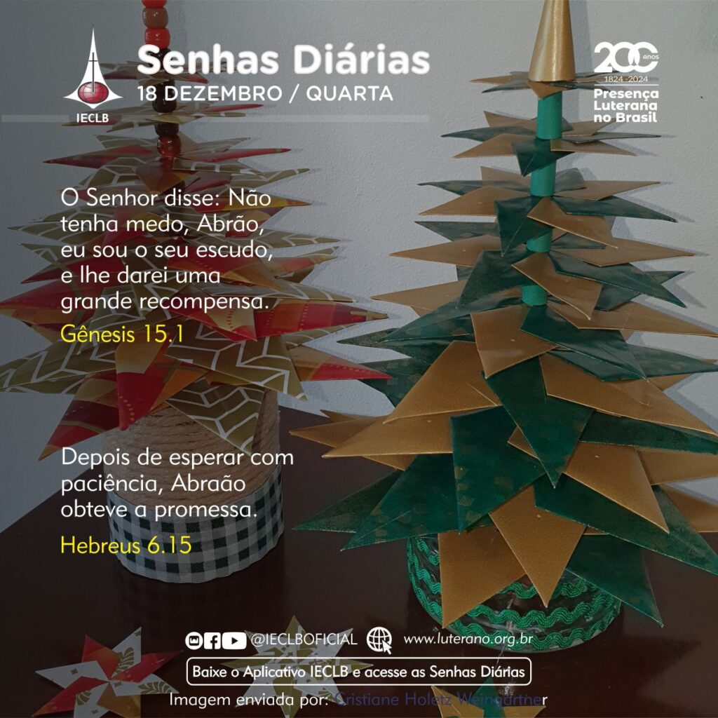 Senhas Diárias - 18 12 2024