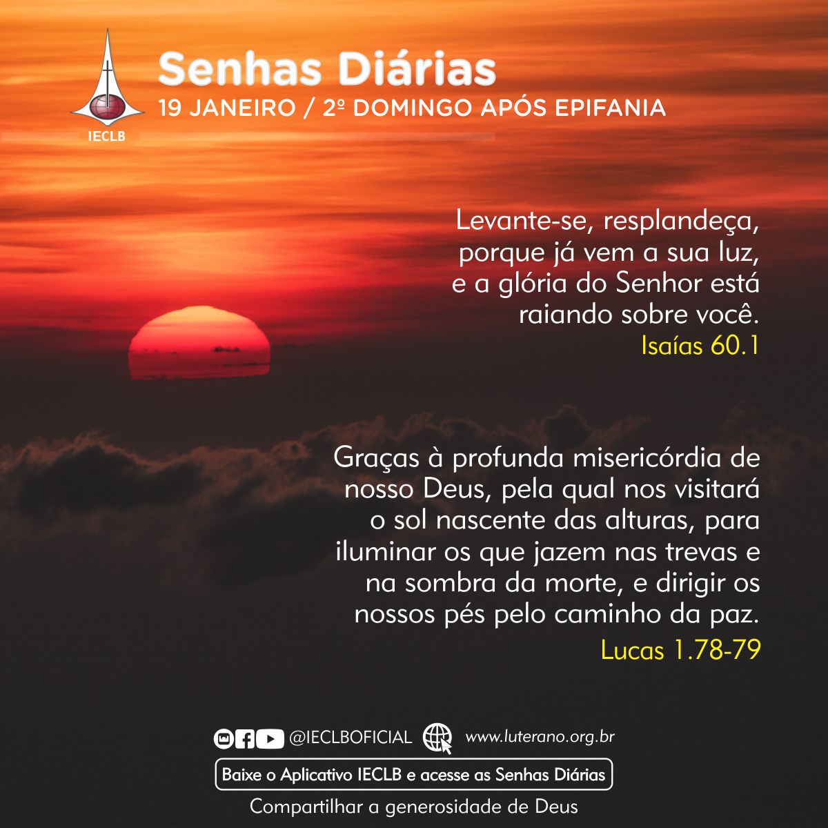 Senhas Diárias - 19 01 2025