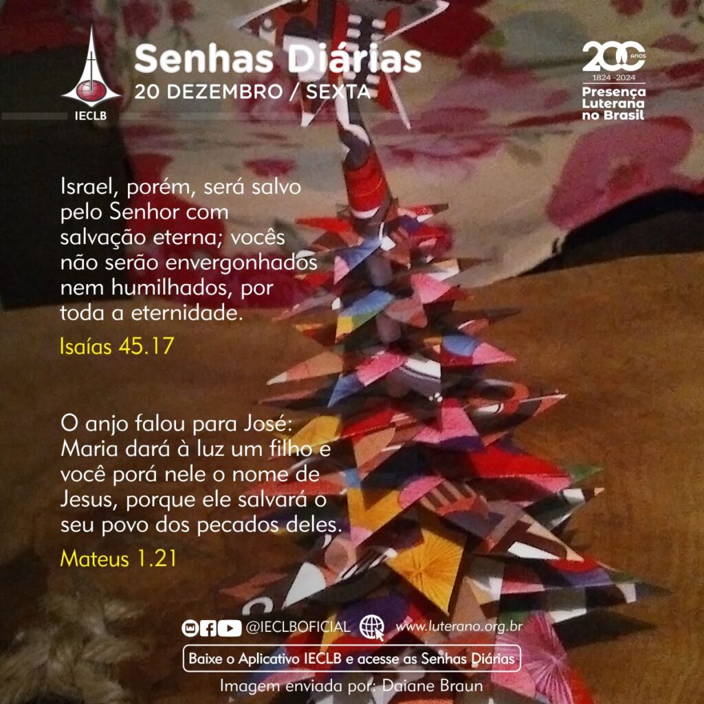 Senhas Diárias - 20 12 2024