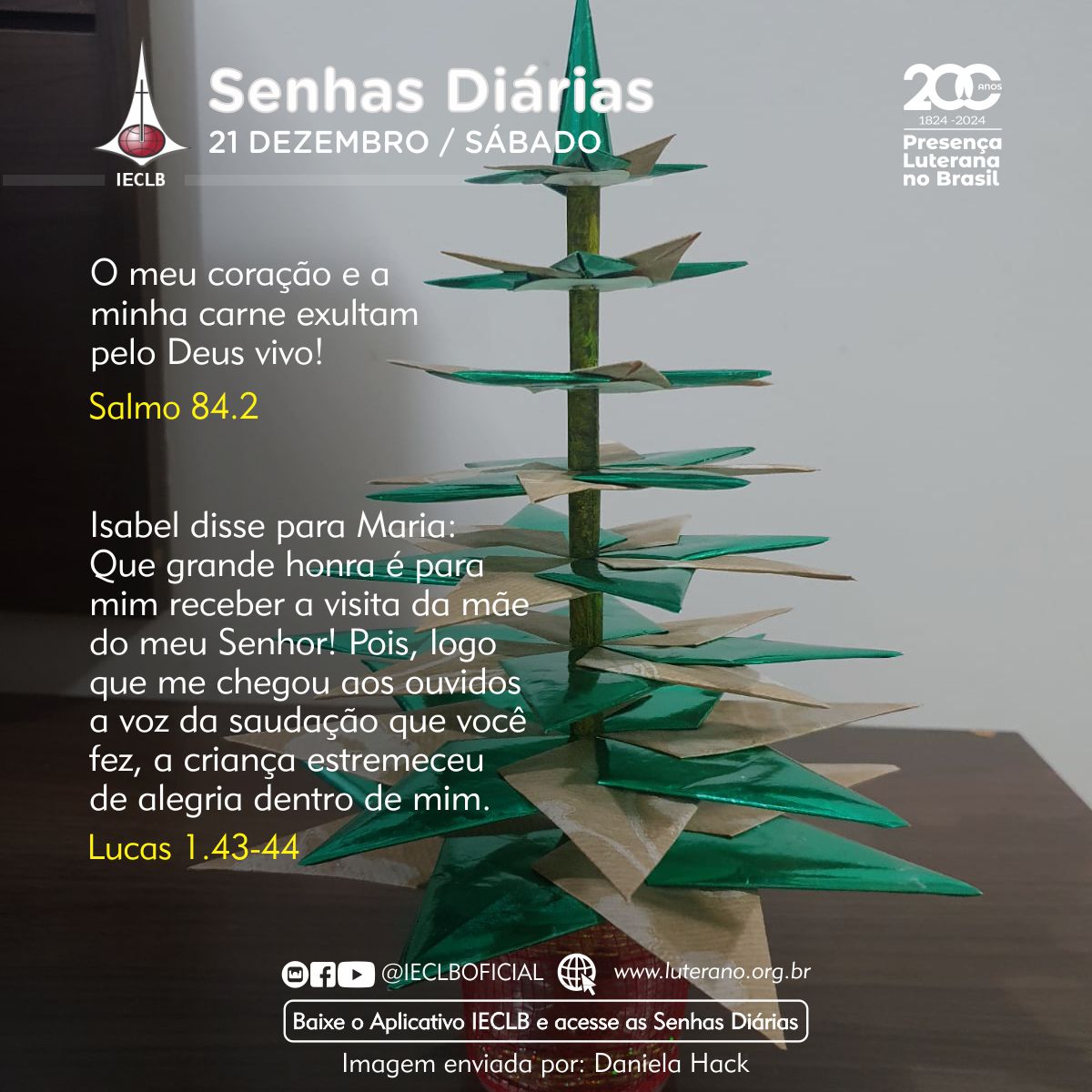 Senhas Diárias - 21 12 2024