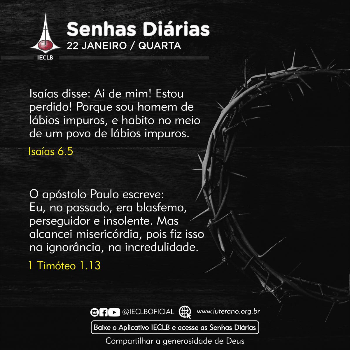 Senhas Diárias - 22 01 2025