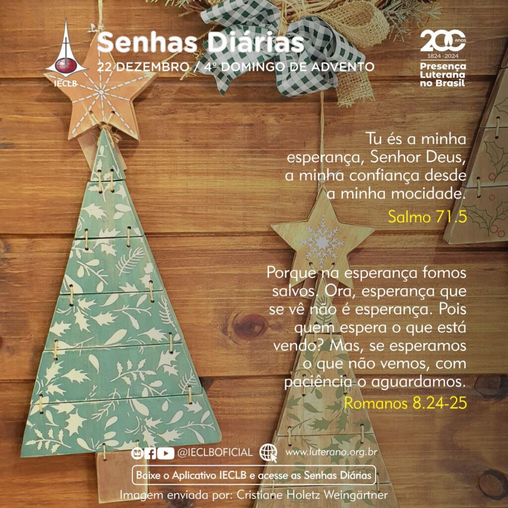 Senhas Diárias - 22 12 2024