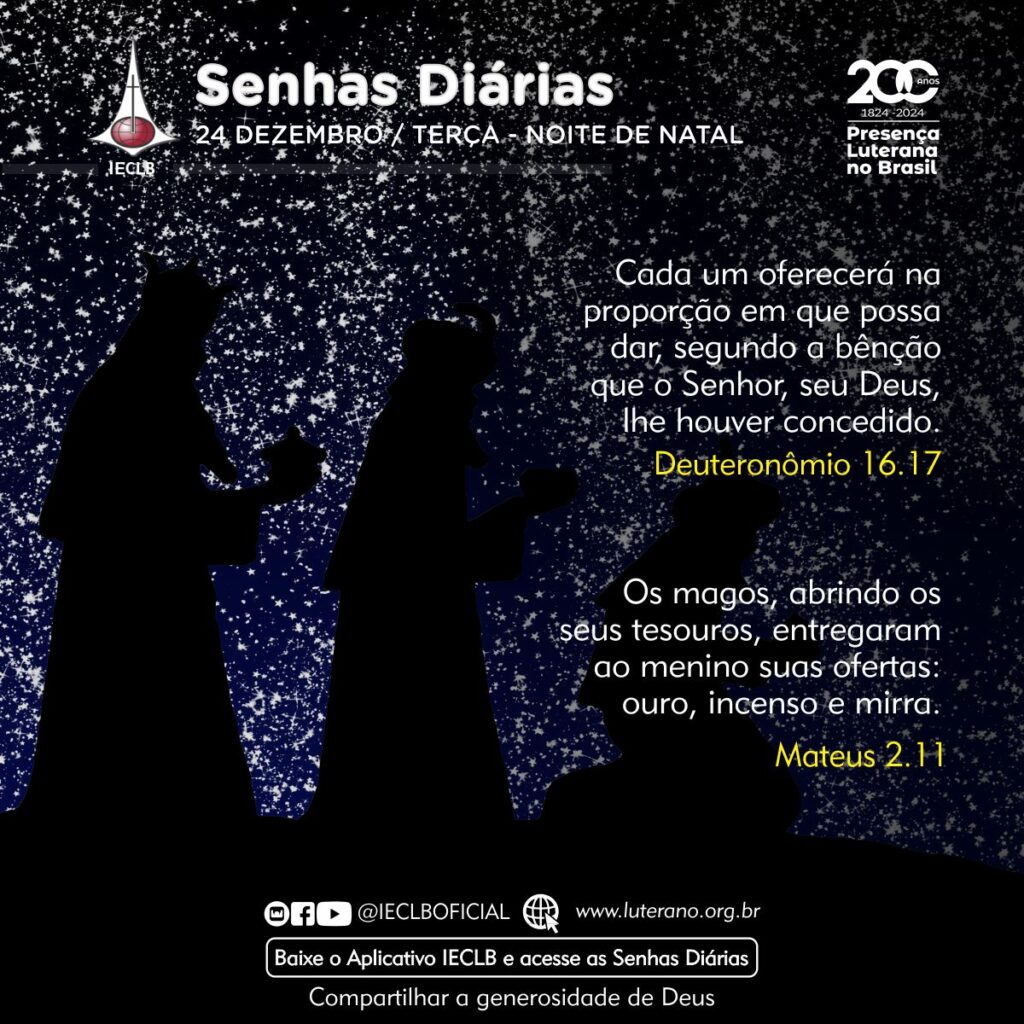 Senhas Diárias - 24 12 2024