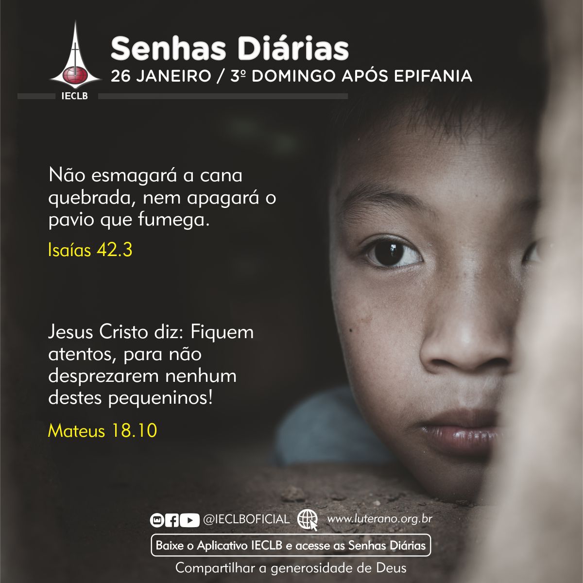 Senhas Diárias - 26 01 2025