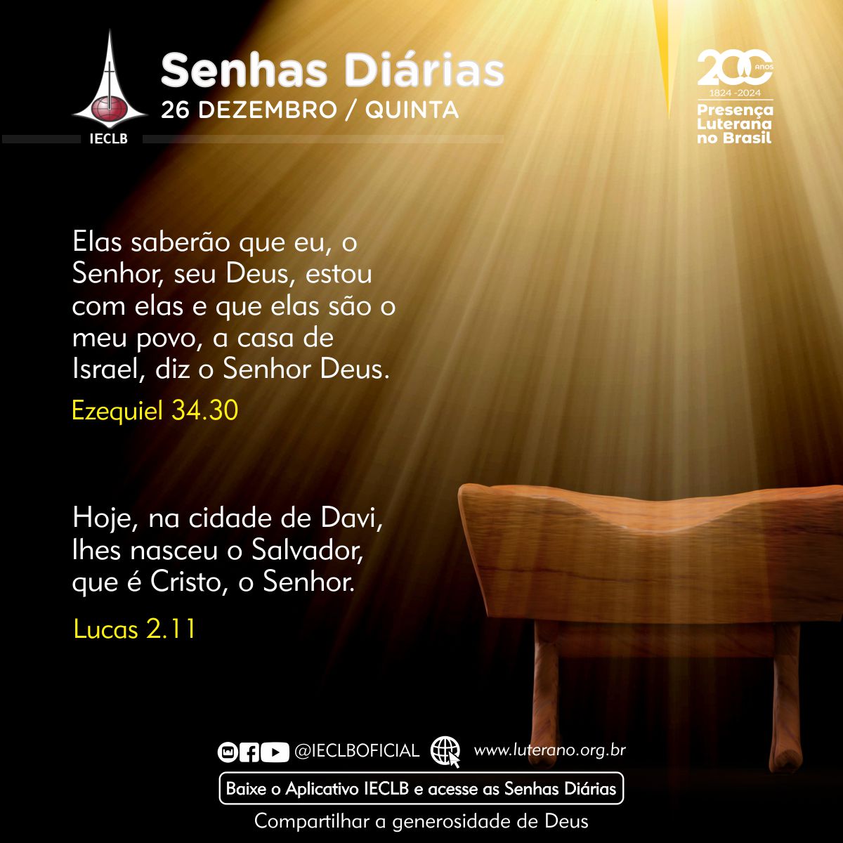 Senhas Diárias - 26 12 2024