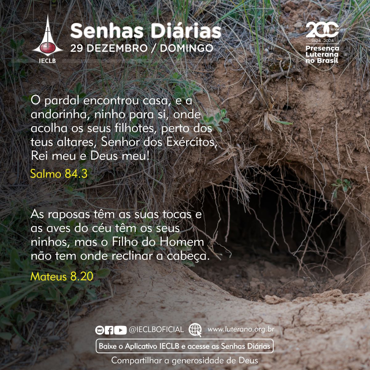 Senhas Diárias - 29 12 2024