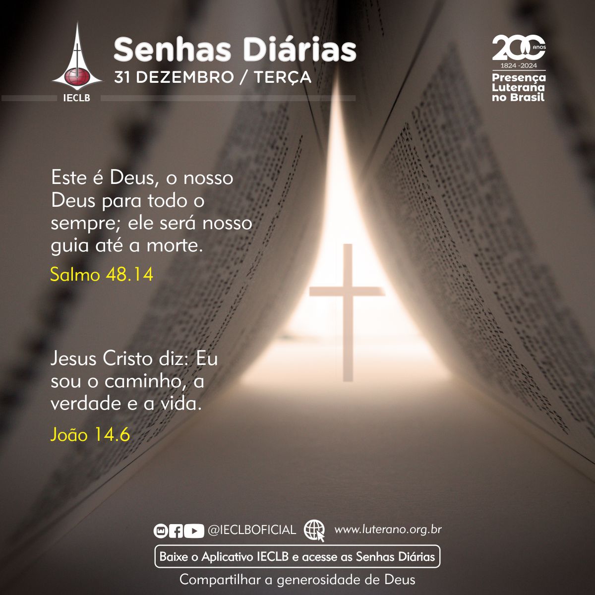 Senhas Diárias - 31 12 2024