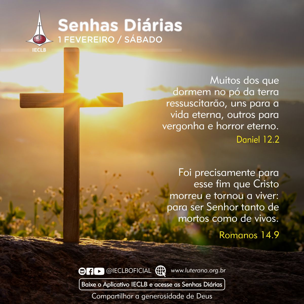 Senhas Diárias 01 02 2025