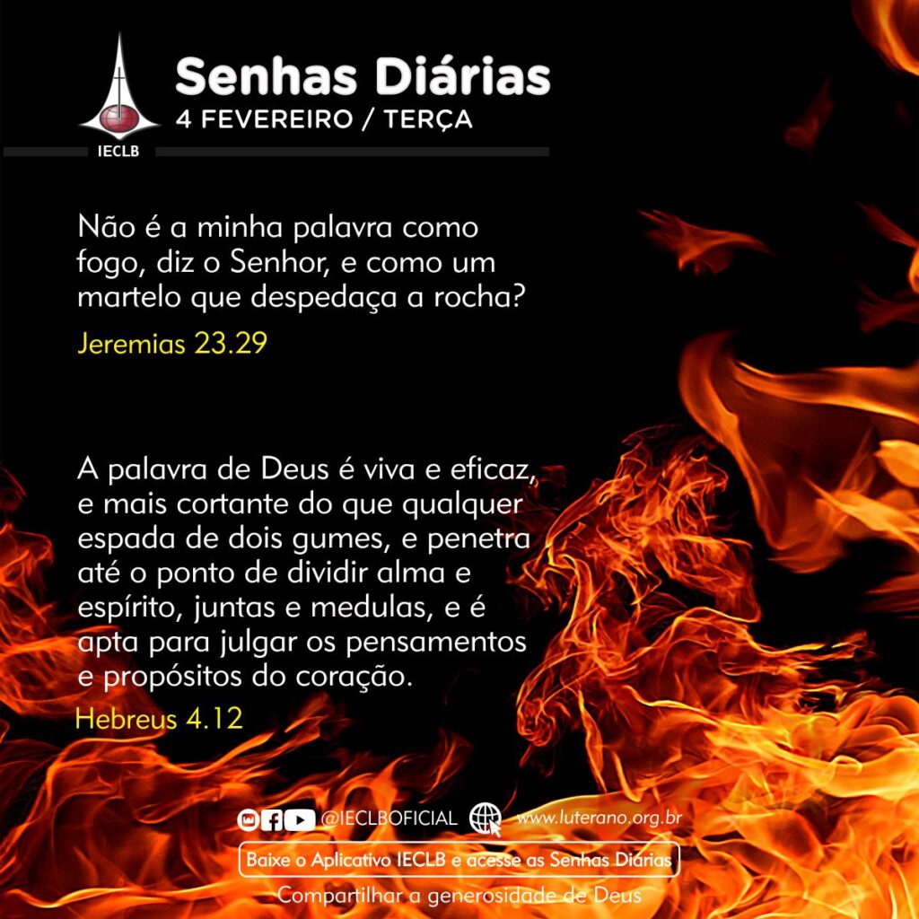 Senhas Diárias 04 02 2025