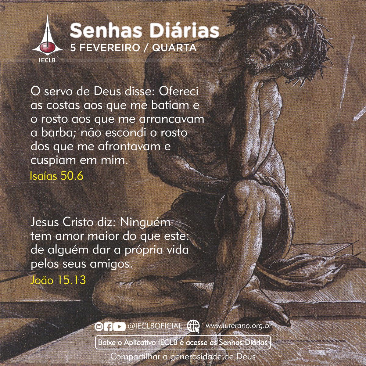 Senhas Diárias 05 02 2025