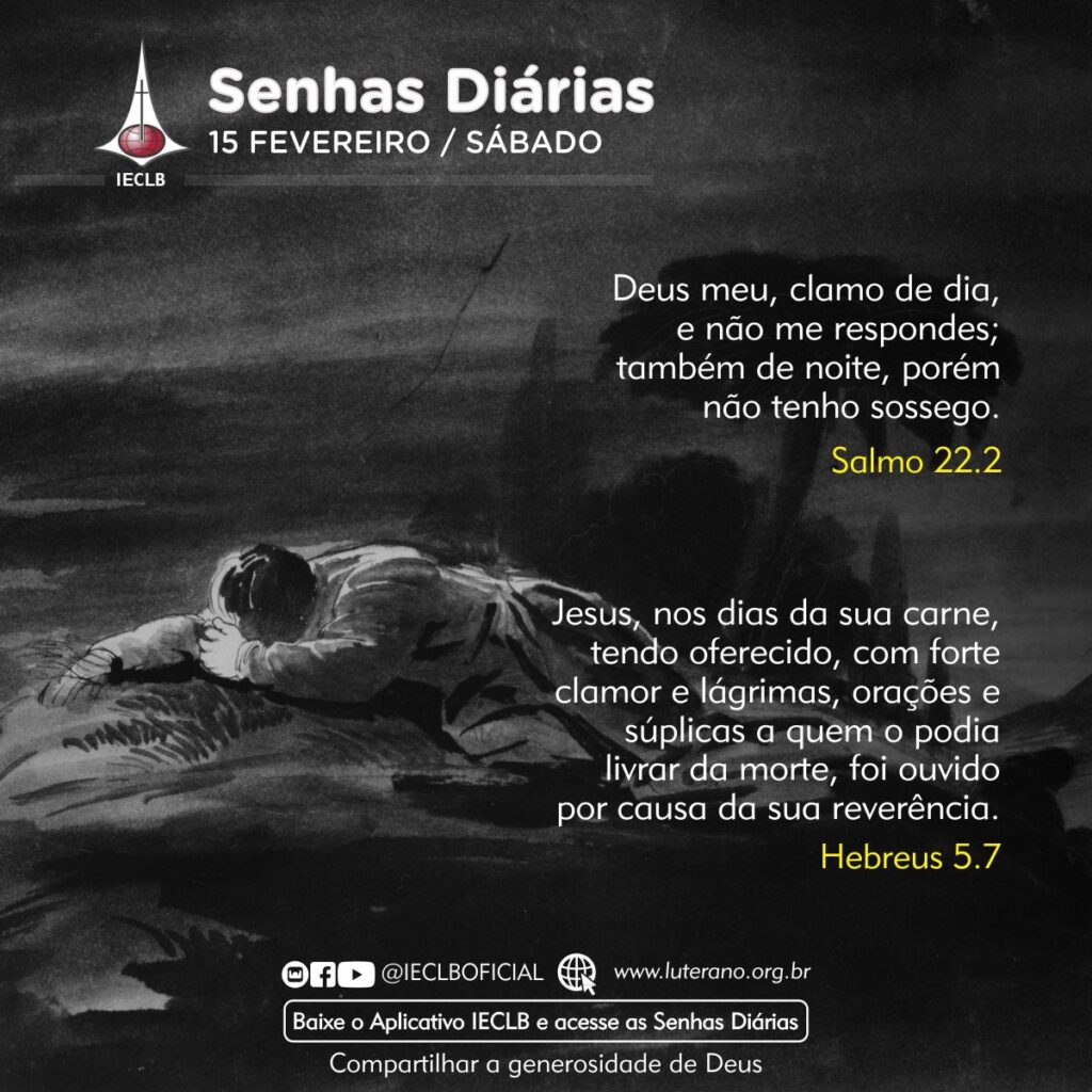 Senhas Diárias 15 02 2025